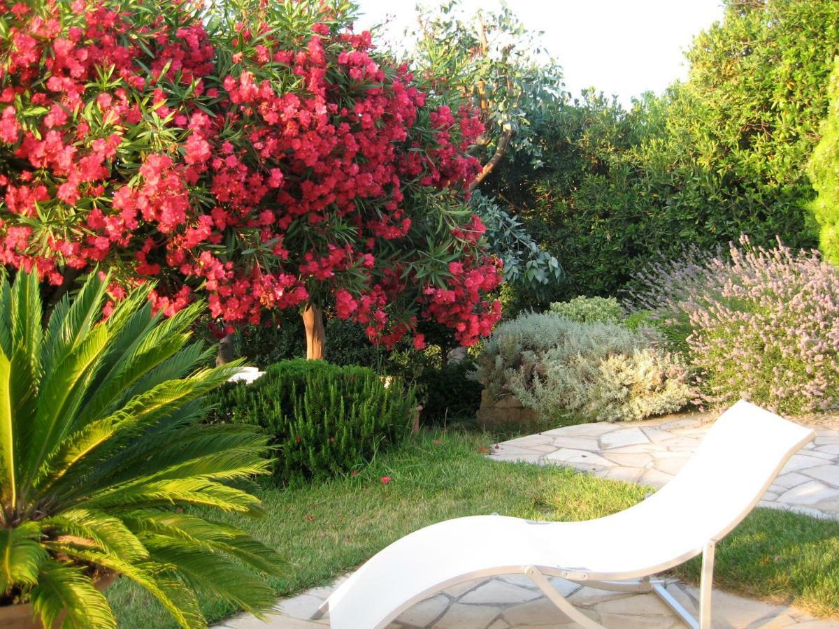 Mas Samarcande Vallauris Εξωτερικό φωτογραφία